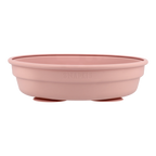 2-In-1 Stainless Steel Divided Plate - Tea Rose