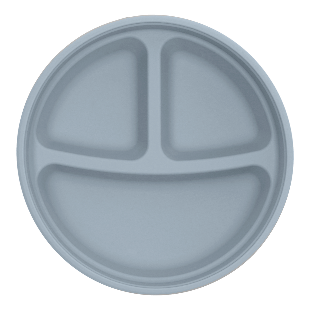 2-In-1 Stainless Steel Divided Plate - Steel Blue